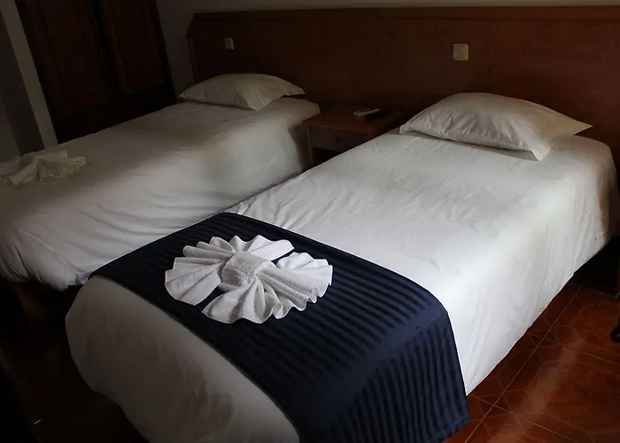 D' El Rei 마토지뉴스